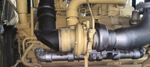 Rental genset